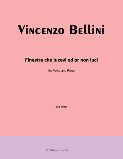 Finestra che lucevi ed or non luci, by V. Bellini