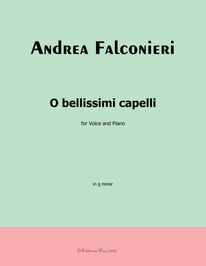 O bellissimi capelli, by Falconieri