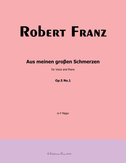 Aus meinen groβen Schmerzen, by R. Franz