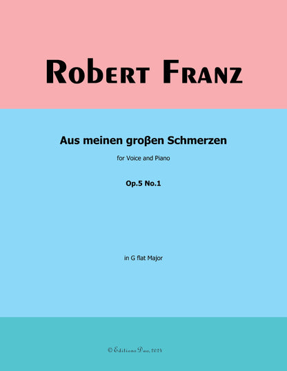 Aus meinen groβen Schmerzen, by R. Franz