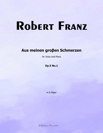 Aus meinen groβen Schmerzen, by R. Franz