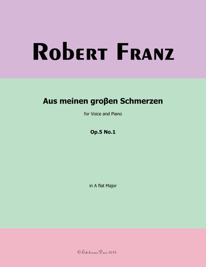 Aus meinen groβen Schmerzen, by R. Franz