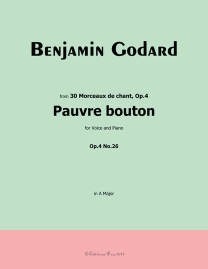 Pauvre bouton, by B. Godard