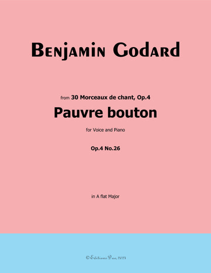 Pauvre bouton, by B. Godard