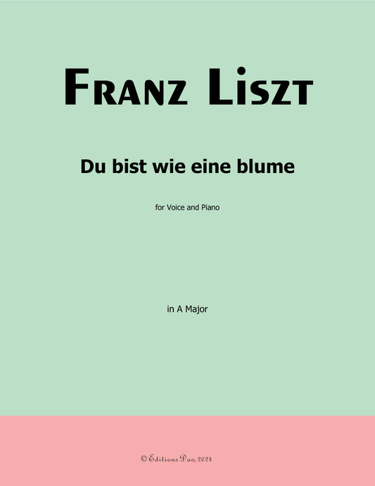 Du bist wie eine blume, by Liszt