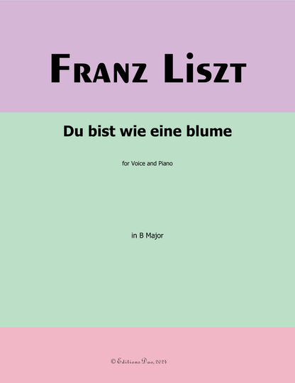 Du bist wie eine blume, by Liszt