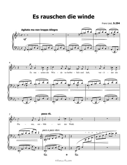 Es rauschen die winde, by Liszt